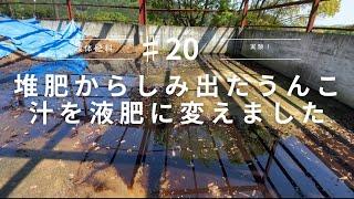 【畜産】但馬牛の堆肥から滲み出たうんこ汁を液肥に変えられるか実験しました。【但馬牛】