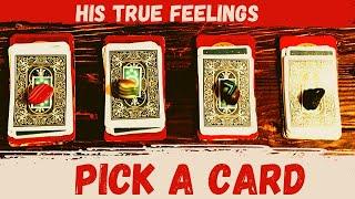 HIS TRUE FEELINGS ⁉️⁉️ Pick A Card  Timeless Tarot Reading