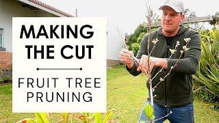 Pruning fruit trees in late winter: Urban Homestead Edition