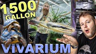 GIANT 10 Foot SNAKE Enclosure + Touring a REPTILE BASEMENT!!