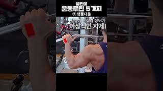 헬린이 완벽루틴 총정리