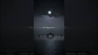 Feel this song  #love #mood