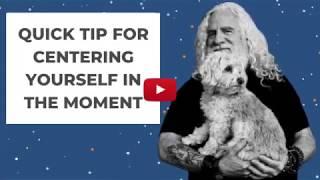 Quick Tip for Centering Yourself in the Moment | davidji