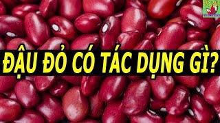 Ăn đậu đỏ có tác dụng gì?