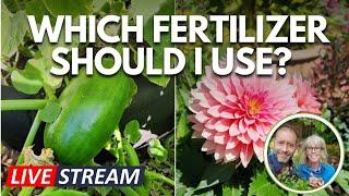  Live | Summer Fertilizing - Which to Use and Why  #live #garden #fertilizer