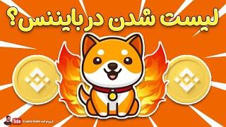 ارز دیجیتال بیبی دوج کوین, انفجاری تر از همیشه / BABY DOGECOIN ON BINANCE