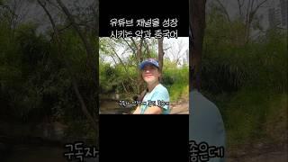 유튜브 채널을 성장시키는 약 그리고 중국어