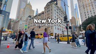 New York Street Ambience 4k Video - City Sounds, Traffic, Sound Effects, 5th Avenue