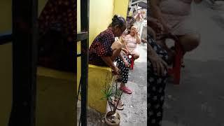 Nenek nenek latah jorok