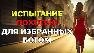 СКРЫТАЯ ПРАВДА: ПОЧЕМУ БОГ ДОПУСКАЕТ ТВОЮ БОРЬБУ С ПОХОТЬЮ
