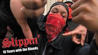 Slippin': Ten Years with the Bloods (2005)