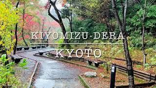 Kiyomizudera Temple in Kyoto | Kyoto | Japan | Autumn season in Japan | Nature