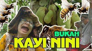 BUKAH , KAI NINI SEASONS#2 09 kayi nini kai nini bangbondtv