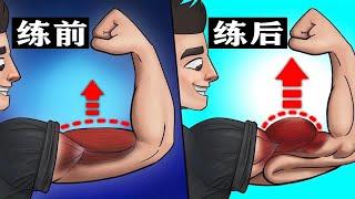 二头肌训练技术，专治训练没感觉，适合新手小白丨 Biceps Training Technique