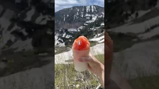 Making a Snow Cone with Real Snow