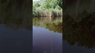 22 червня 2023 р.