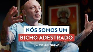 Desconstruindo Condicionamentos: Como a Espiritualidade Liberta Nossa Essência