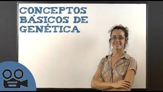 Conceptos básicos de genética