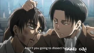 Levi || We don't have to Dance (MEP Part 3)