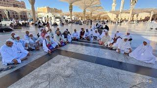 Warm welcome in madina// Assalam tour and travels //kashmiri umrah group