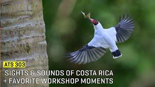 Approaching The Scene 303: Sights & Sounds of Costa Rica + Favorite Workshop Moments