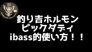 釣り吉ホルモン【ピックダディ】のインプレ！これからの季節にデカバスが良く釣れる！！