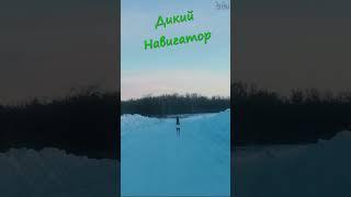 БУДНИ РЫБАКА. Когда попросил показать дорогу. #shortsvideo #shortvideo #shorts #short