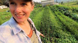 July Garden Harvest | Best Onions I've Grown | Scrumptious Broccoli Cheese Soup!