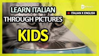 Learn Italian Through Pictures |Italian Vocabulary Kids | Golearn