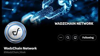 Wadzchain Wadzpay WCO WTK EPIC Update Nov 4, 2024