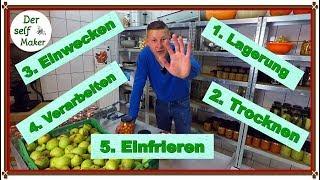 5 Tipps zum haltbar machen/ Obst und Gemüse konservieren/ wie man alles längeren aufbewahren kann