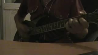 Red hot chili peppers,Гнидкин Алексей californication my cover