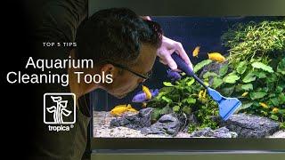 Top 5 Aquarium Glass Cleaning Tools