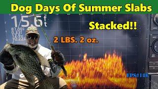 Dog Days Of Summer - Eps: 186 #acccrappiestix #crappiefishing #livescope