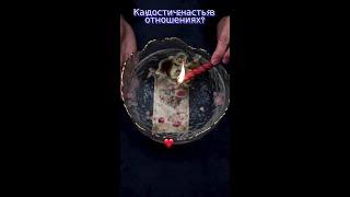 Полное видео на Канале