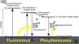 Basics and principle of Fluorescence & Phosphorescence measurement | Learn under 5 min | AI 06
