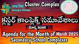 Cluster Complex Meeting/March 2025/Secondary/Agenda/Guidelines/Instructions