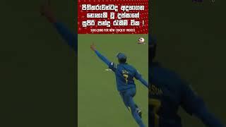 මතකද මේ ටික ?  Dasun Shanaka Best catches Srilanka Cricket top catches Captian Negambo Nailer Dassa