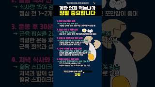 아침 계란이 독이 될 수 있다 당신의 건강을 갉아먹는 치명적 실수
