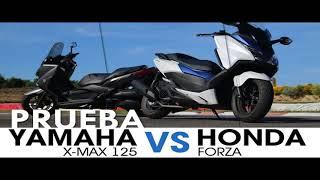 MOTOŠKOLA IV / HONDA PCX vs. HONDA FORZA