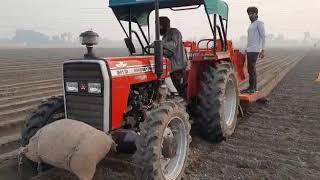 Automatic potato planter (30" row size )