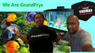 RealNesters aka GrandFrys -Molly Fish