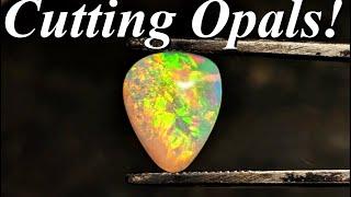 So Many Amazing Opals! Cabbing Welos, Honeycomb, Brazilian Opal, Australian Opal, and More!