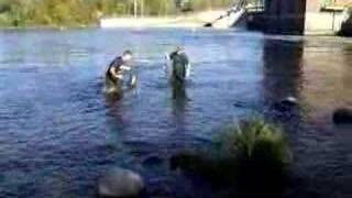 Salmon fishing on St. Joseph river in Berrien Springs, MI