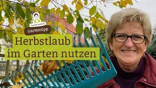 Was machen mit Herbstlaub? Laub von Obstbäumen sinnvoll im Garten nutzen