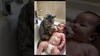 Cat bathes baby