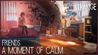 A Moment of Calm - Friends