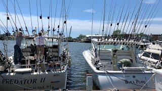 Salmon Fishing Lake Michigan, Predator Charter Services & Black Pearl Sport Fishing