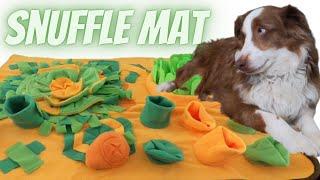 Snuffle Mats for Dogs