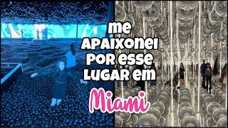 O QUE FAZER EM MIAMI ALEM DE COMPRAS E SHOPPING | MUSEU DO BALAO